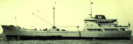 MS Ursula Horn